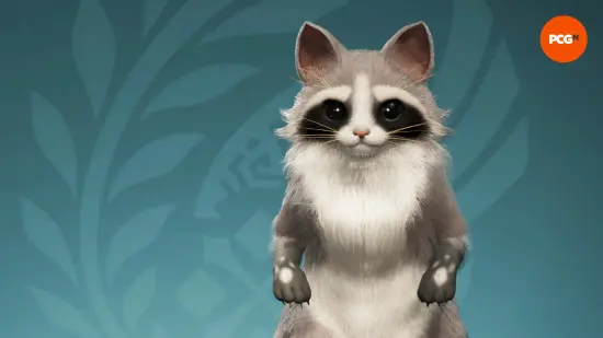 Raccoon (From Reddit)